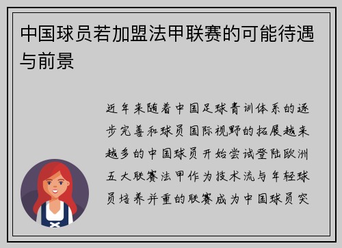 中国球员若加盟法甲联赛的可能待遇与前景